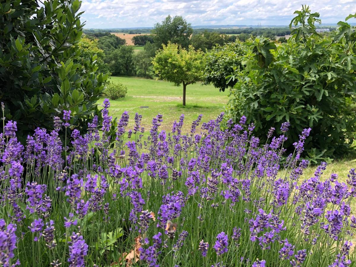 Bed and Breakfast La Ferme Buissonniere Bardou Exterior foto