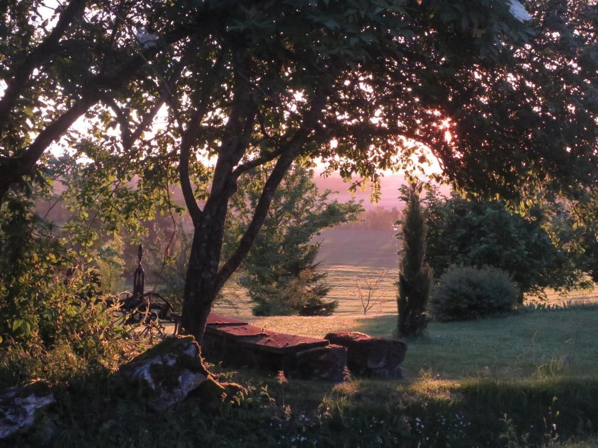 Bed and Breakfast La Ferme Buissonniere Bardou Exterior foto