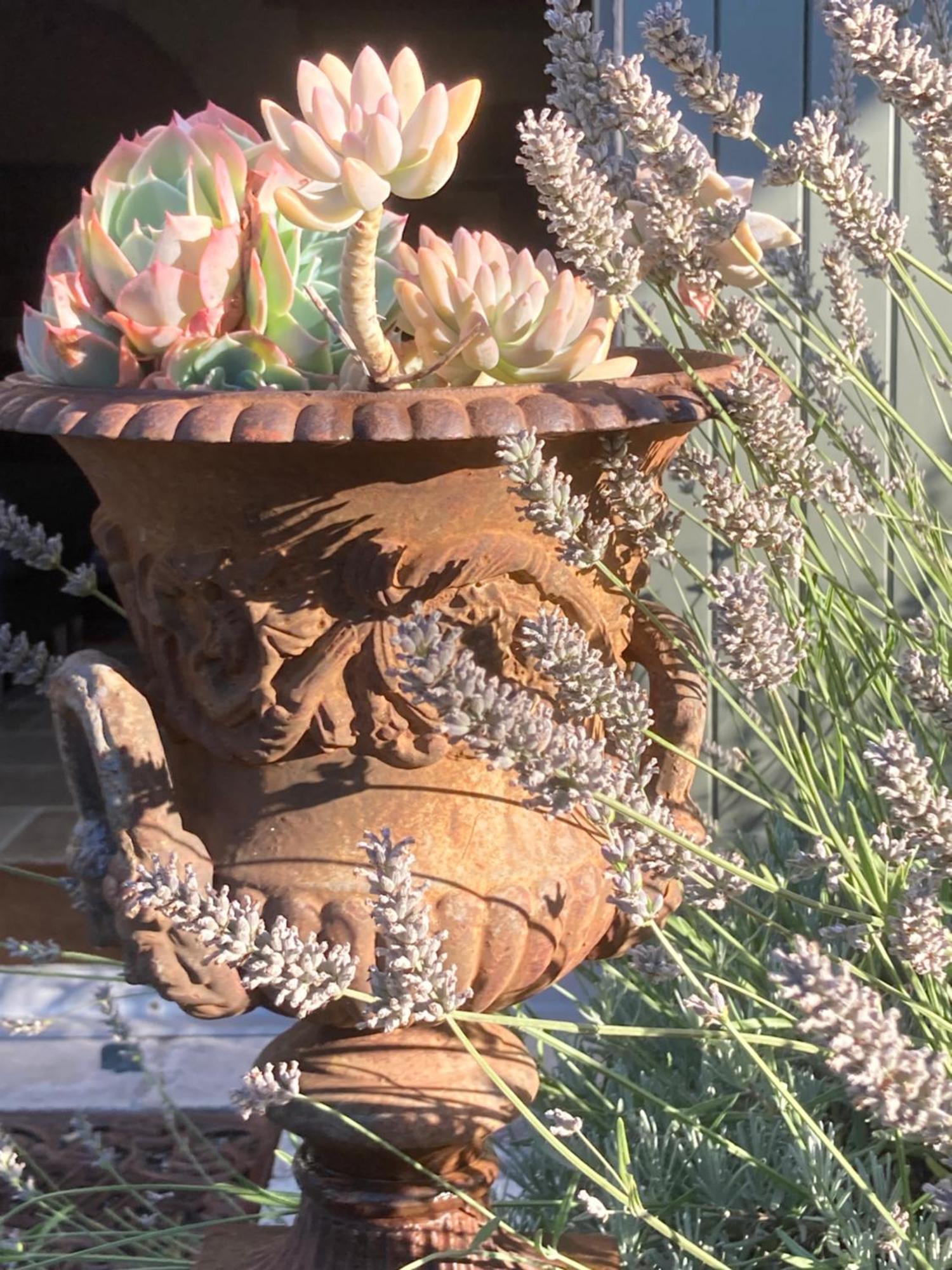 Bed and Breakfast La Ferme Buissonniere Bardou Exterior foto