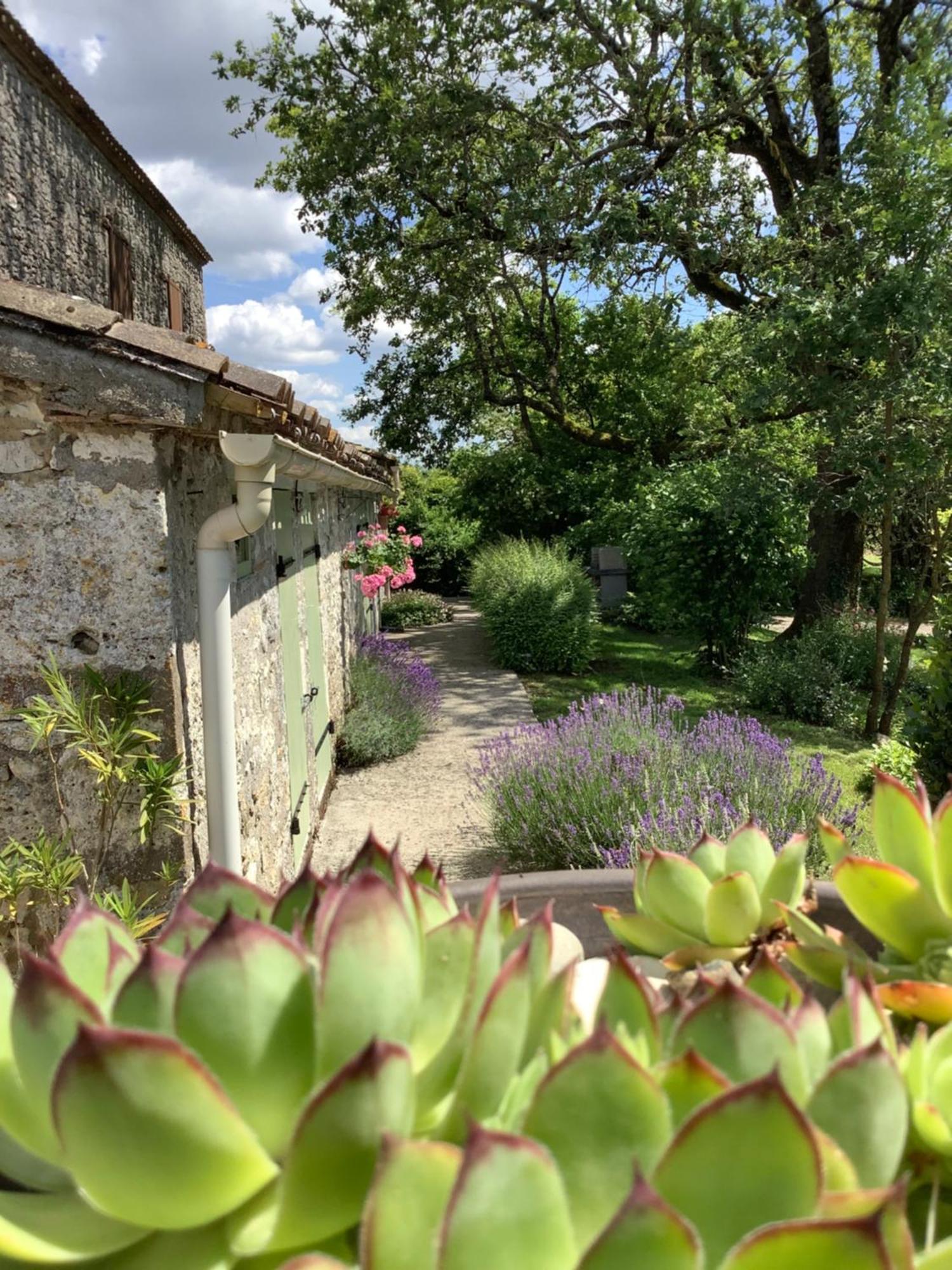 Bed and Breakfast La Ferme Buissonniere Bardou Exterior foto
