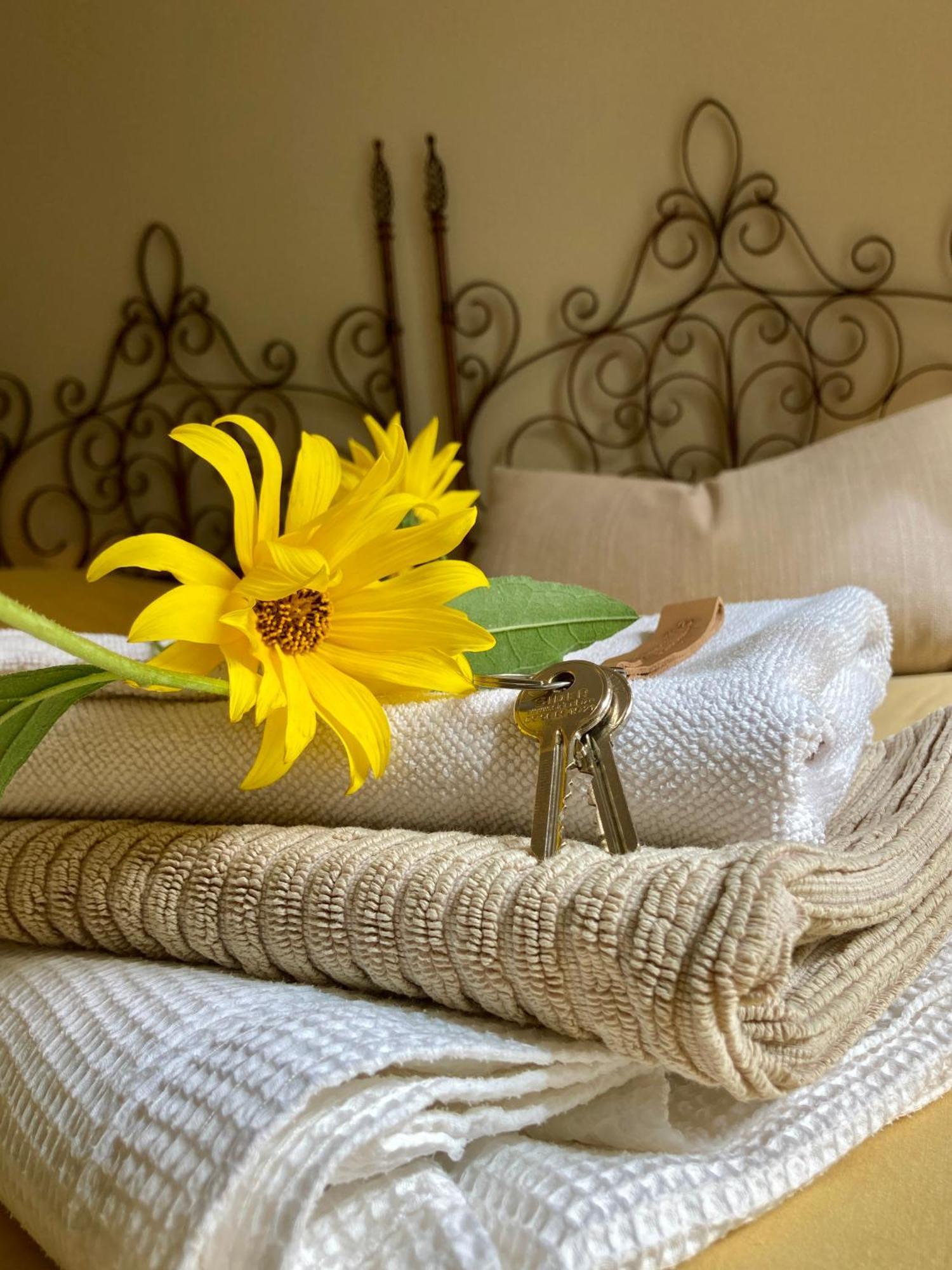 Bed and Breakfast La Ferme Buissonniere Bardou Exterior foto